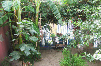 Dar El Yasmine Tunis