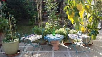 Dar El Yasmine