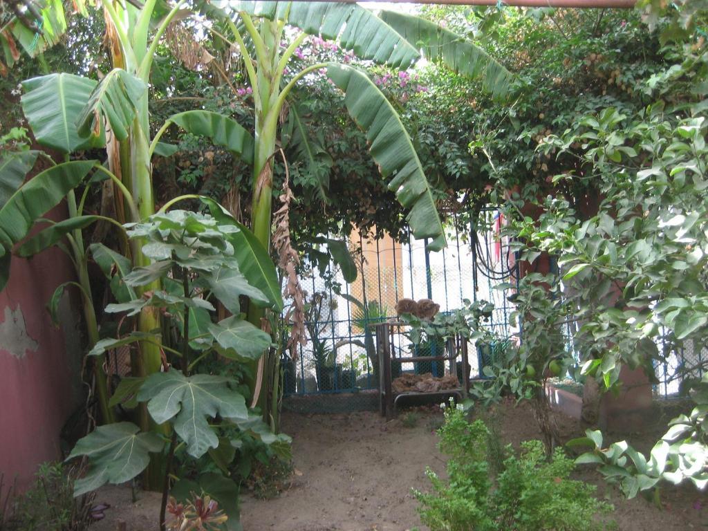 Dar El Yasmine Guest house 3*